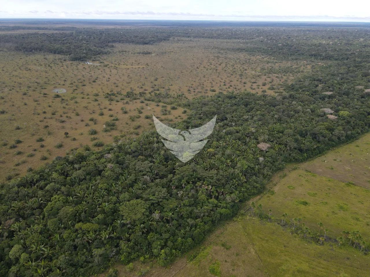 Fazenda a venda na BR 319 - Foto 5