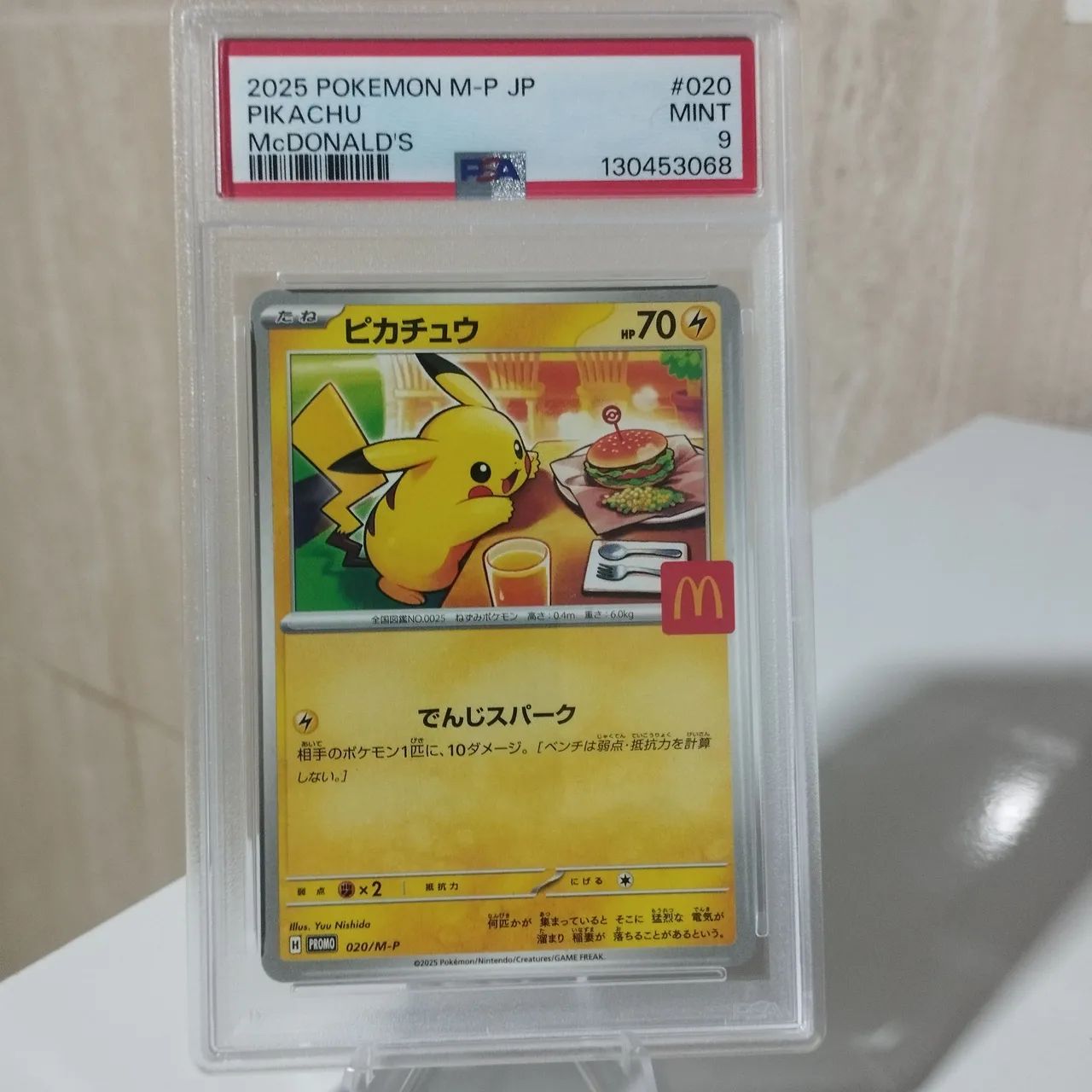 Pikachu Graduada