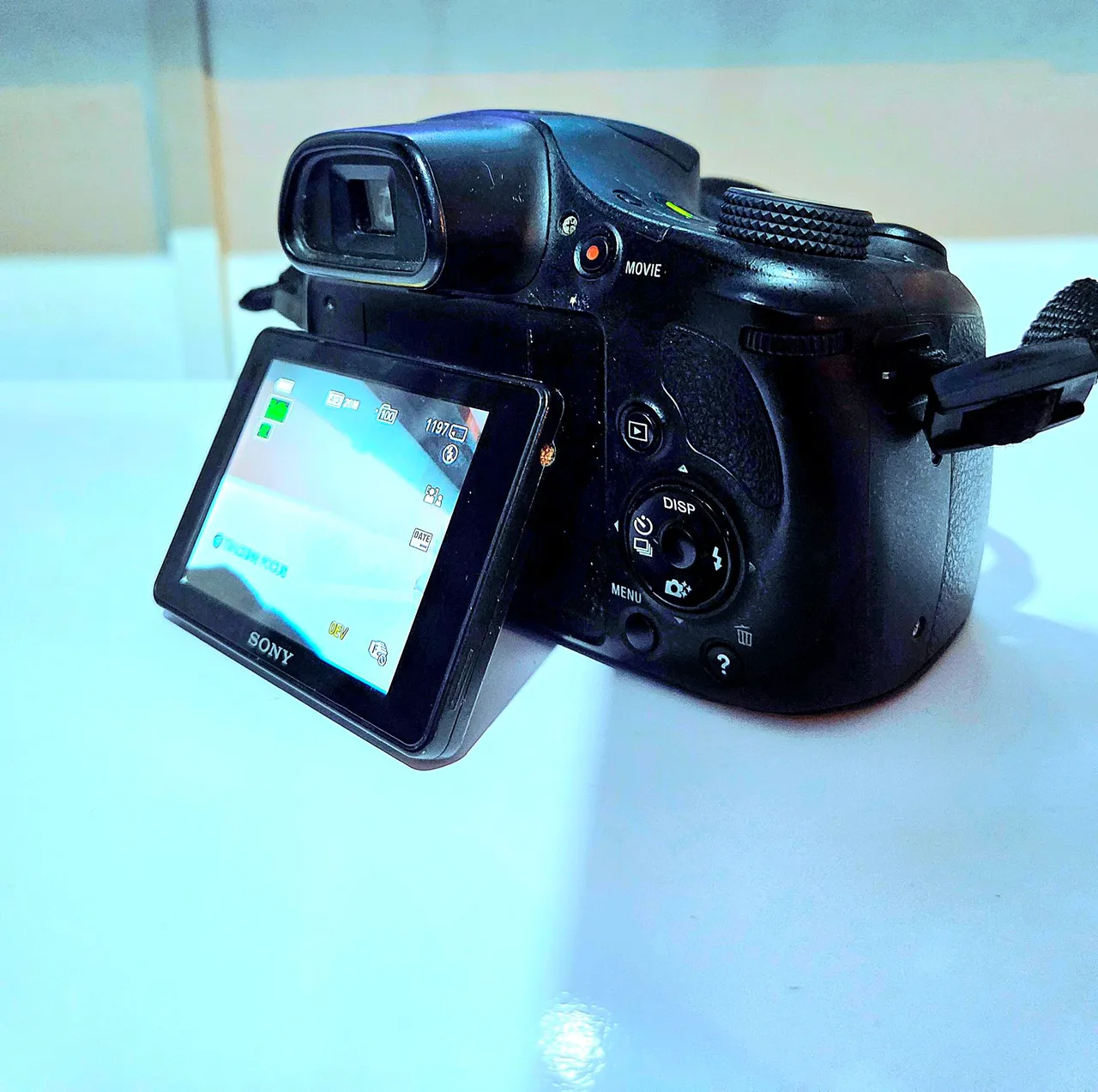 sony dsc hx300