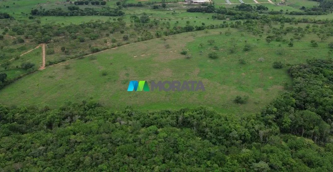 FAZENDA À VENDA - 151 HECTARES - BOM DESPACHO (MG) - Foto 3