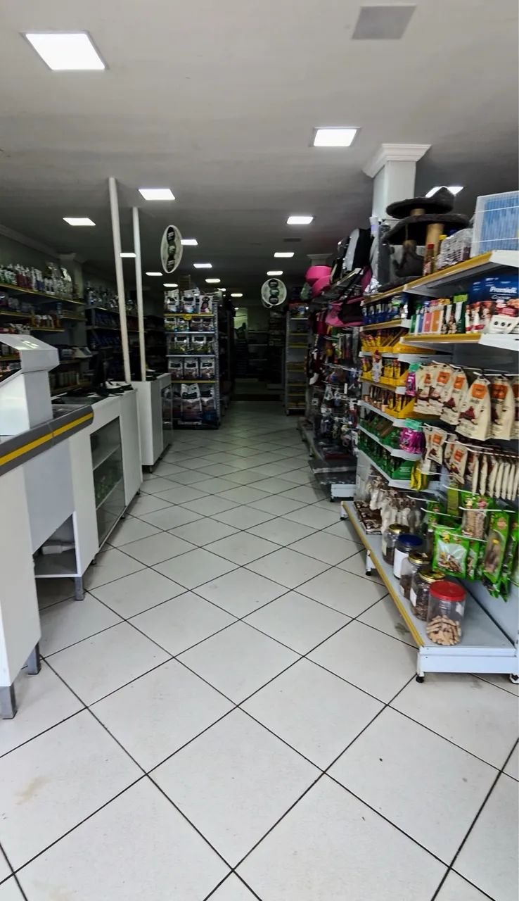 Loja, Pet shop, Consultório Veterinário  - Foto 5