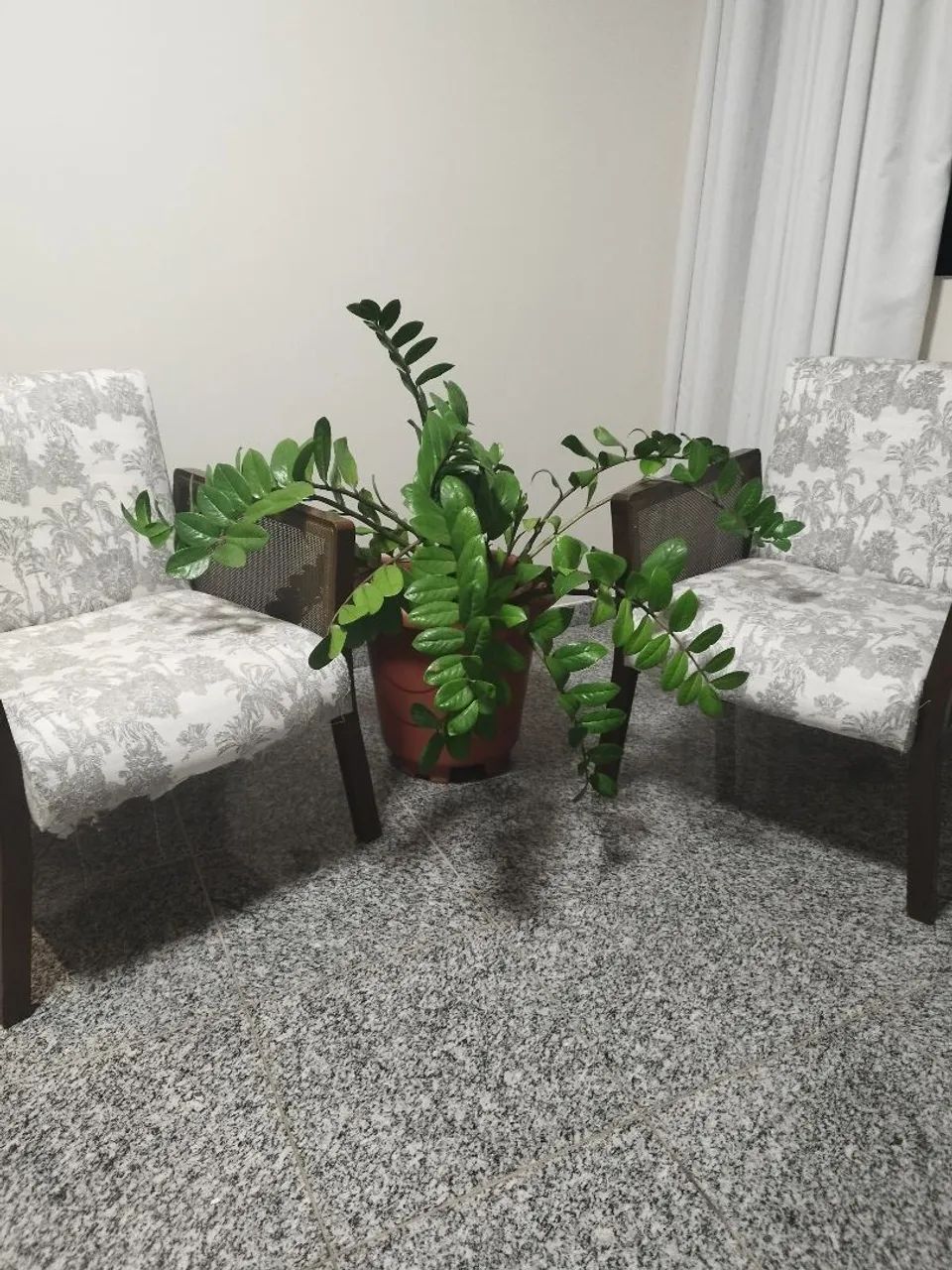 Poltronas para decoração 