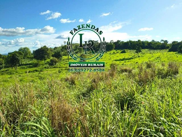 Fazenda-Chácara 13 Alqueires Próximo Paraiso - Foto 3