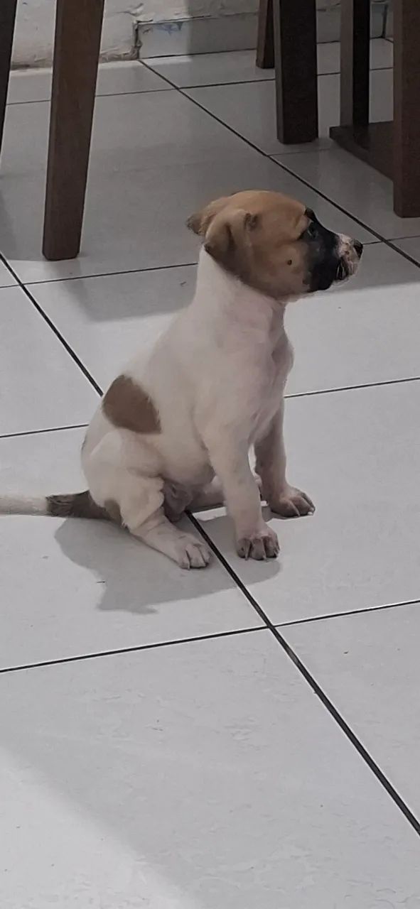 Doa se 