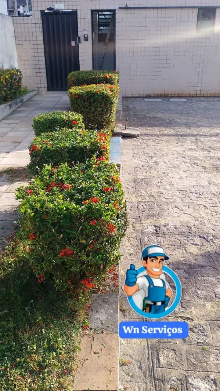Podas de arvores  - Foto 3