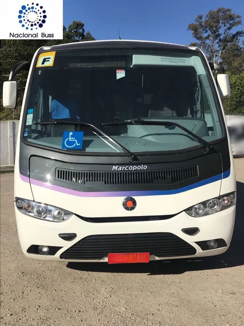 marcopolo sênior executivo 