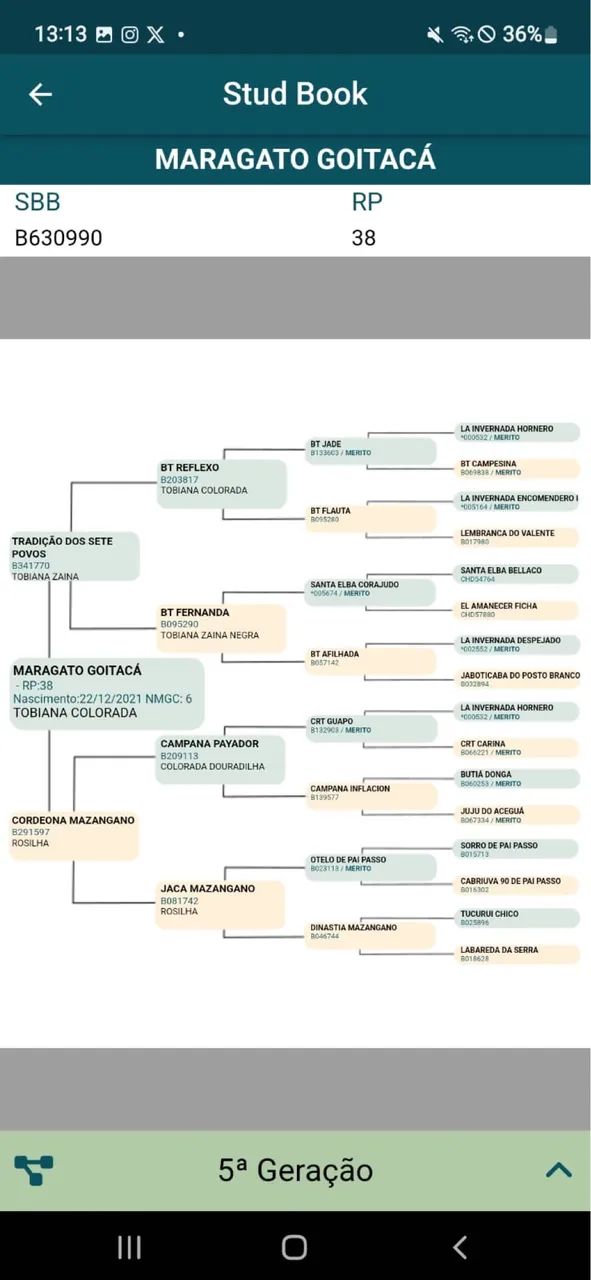 Cuiudo crioulo  - Foto 2