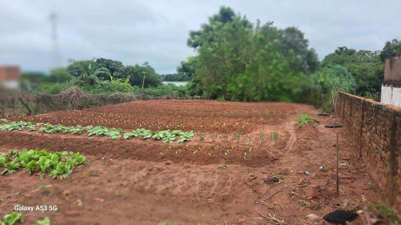 Terreno tipo chácara na entrada da cidade de Sabino - SP e - Foto 5