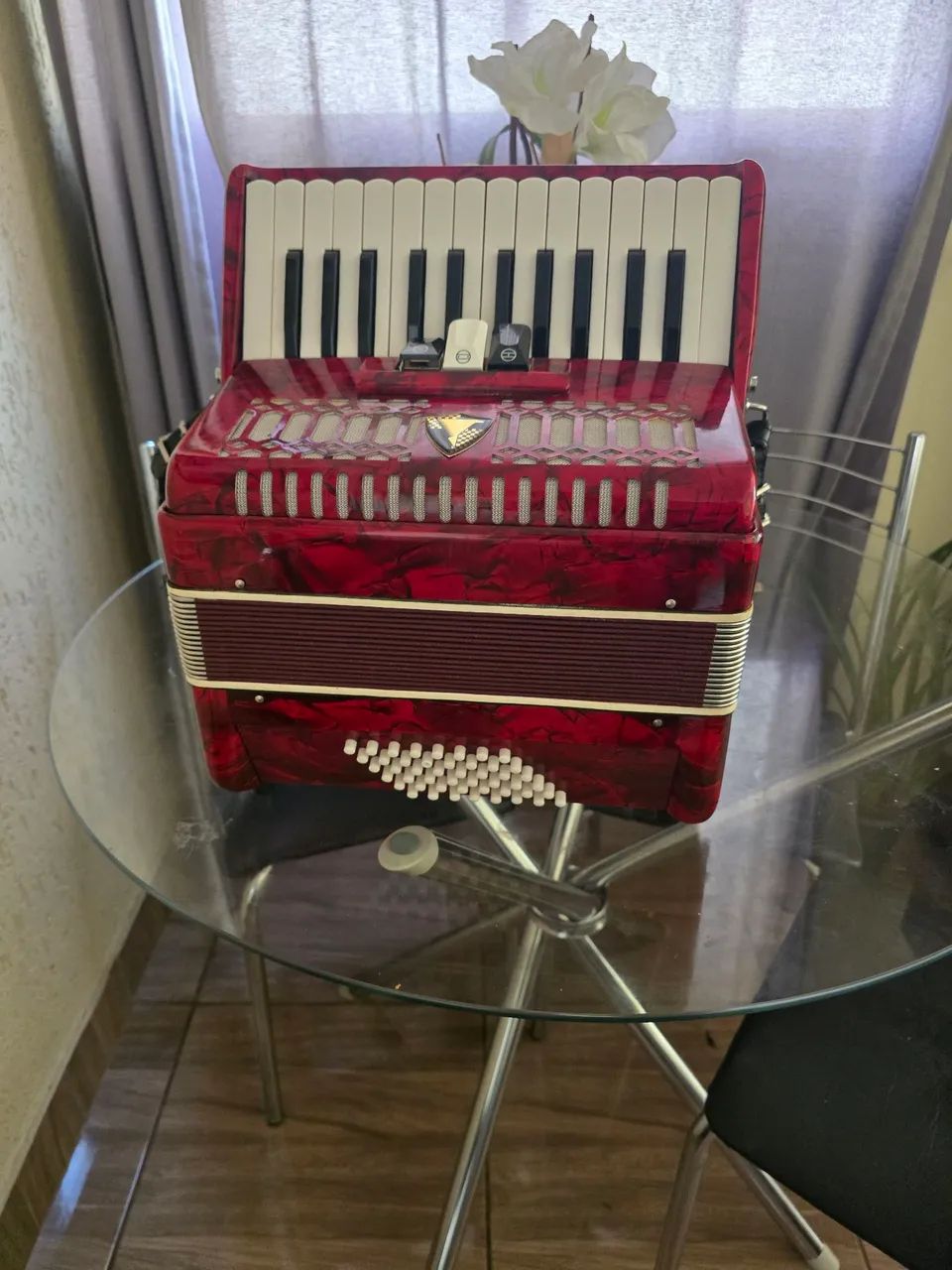 Vendo acordeon 48 baixos eagle 