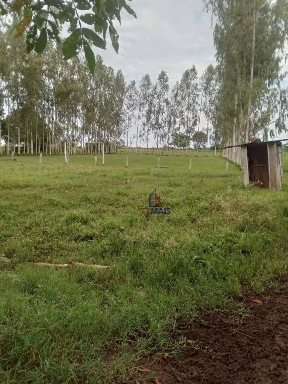 Sítio com 1 dormitório à venda, 363000 m² - Sumaúma - Urupá/RO