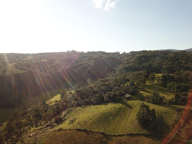 Terreno/Sítio - Foto 6