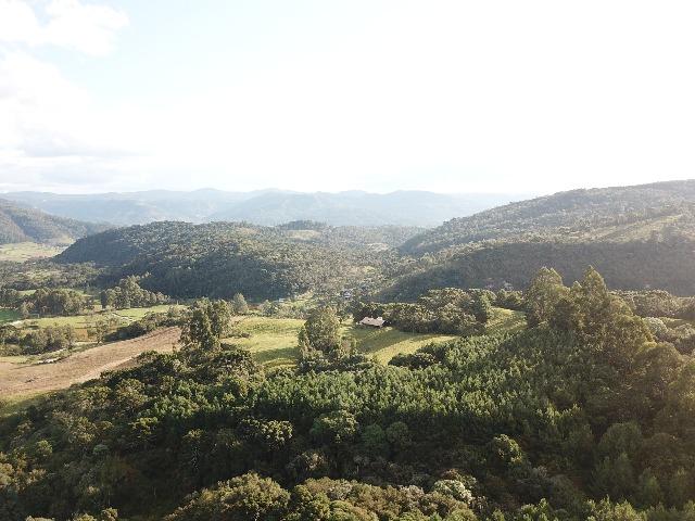 Terreno/Sítio - Foto 4
