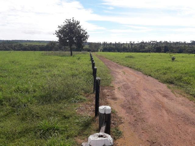 Fazenda de 261 alqueires, com 250 aberto 30 km de Nova Santa Helena -MT - Foto 2