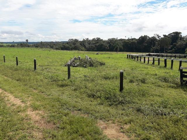 Fazenda de 261 alqueires, com 250 aberto 30 km de Nova Santa Helena -MT - Foto 10