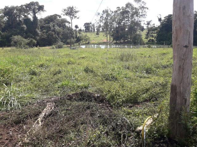 Fazenda de 261 alqueires, com 250 aberto 30 km de Nova Santa Helena -MT - Foto 16