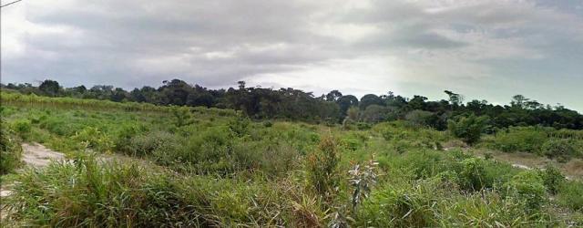 Terreno Arraial Trancoso 66 hectares - Foto 3