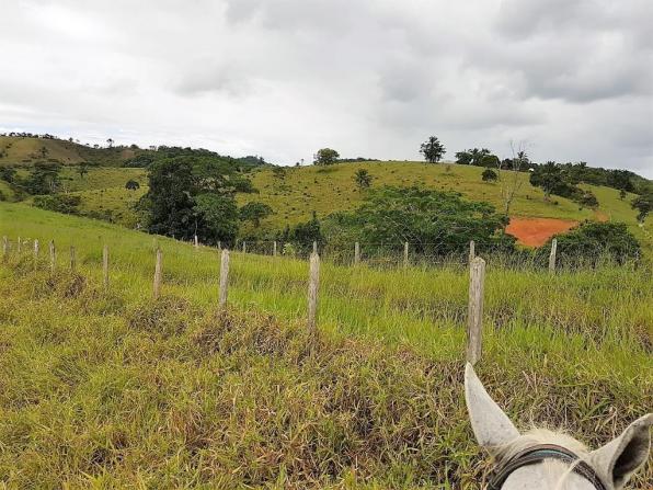 Fazenda 534 has em Tancredo Neves - Foto 18