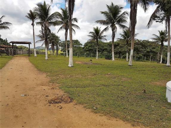 Fazenda 534 has em Tancredo Neves - Foto 2