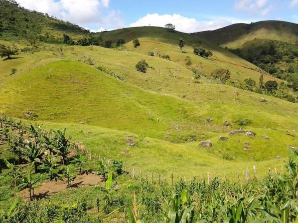 Fazenda em Iguai/BA com 1136 hectares - Foto 11
