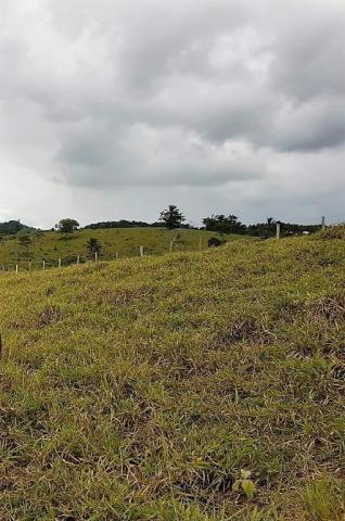 Fazenda 534 has em Tancredo Neves - Foto 14