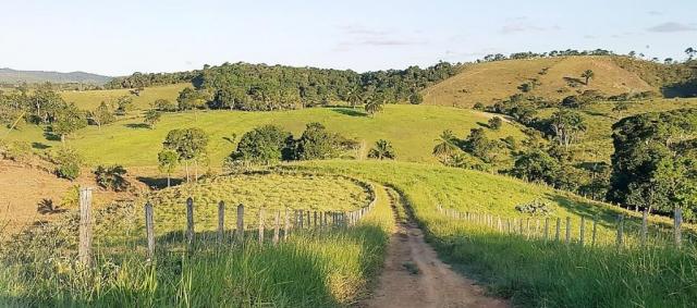 Fazenda 534 has em Tancredo Neves - Foto 9
