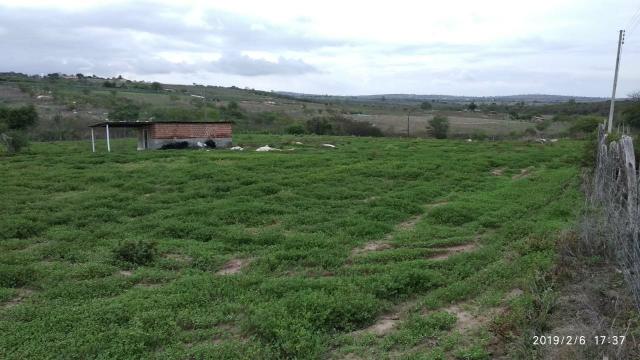 03 Hectares Com Água e Luz Em Chã Grande - PE - Foto 15