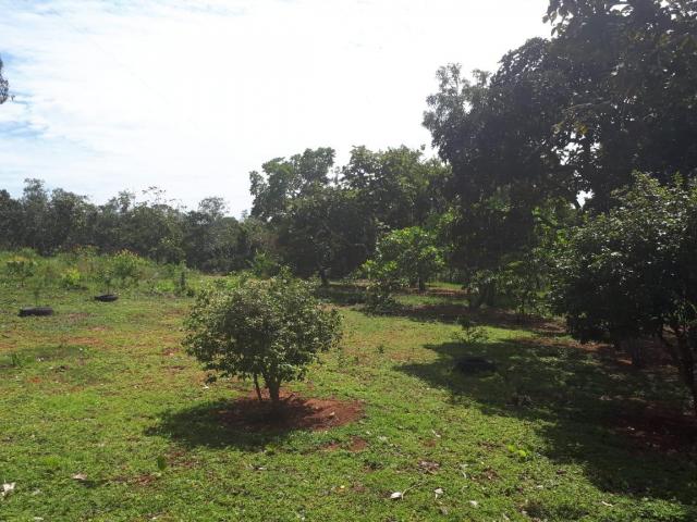 Chácara à venda, 25000 m² por r$ 210.000,00 - rural - chapada guimarães/mt - Foto 17