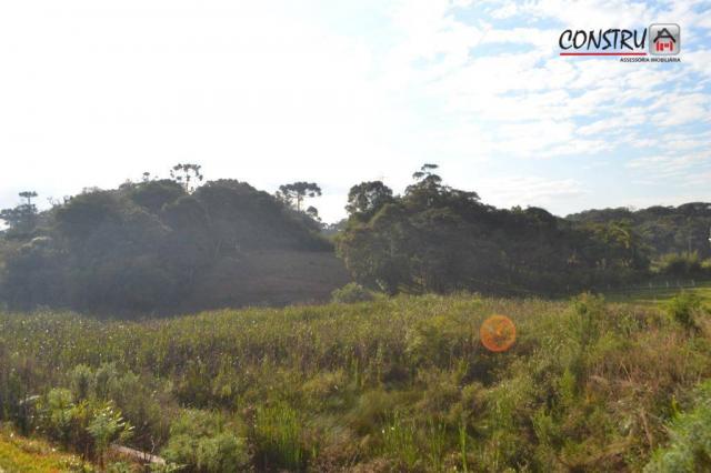 Terreno área de 12.100 m² r$ 2.200.000 - colônia rio grande - são josé dos pinhais/pr - Foto 9