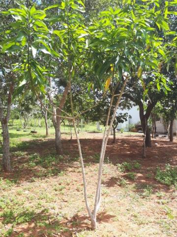 Chácara à venda, 25000 m² por r$ 210.000,00 - rural - chapada guimarães/mt - Foto 20