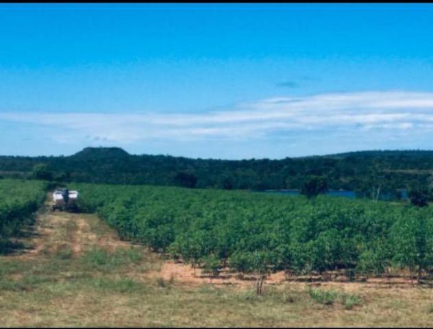 Chácara lago do manso com 3 dormitórios à venda, 150000 m² por r$ 400.000 - zona rural - c - Foto 9