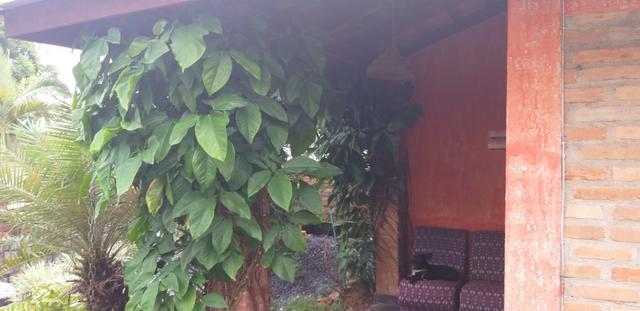 Excelente Casa a Venda em Pirabeiraba!! - Foto 10