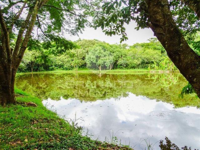 Terreno 120 mil l 1.299m2 l Condomínio Monte Carlo | - Foto 4