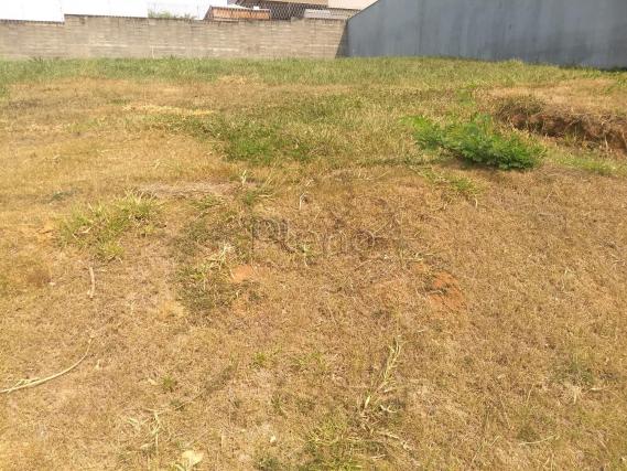 Terreno para alugar com 0 dormitórios em Swiss park, Campinas cod:TE015882