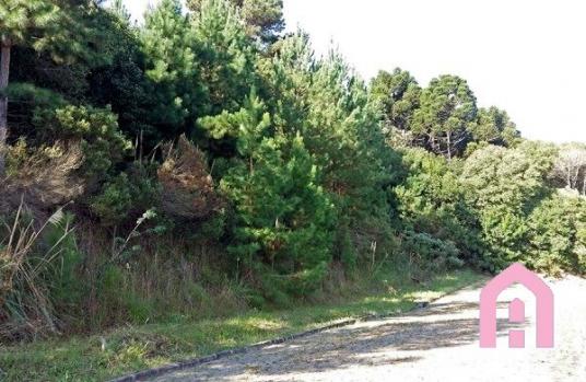 Terreno à venda em São luiz, Caxias do sul cod:2431 - Foto 2