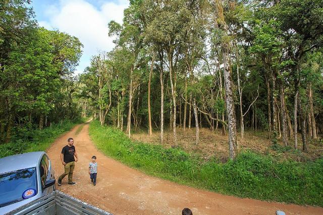 Chácara 0,5 ha, próximo á montadora da Audi 30min/Curitiba só R$85mil - Foto 3