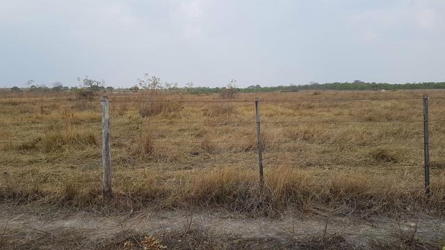 Area Rural - Foto 2