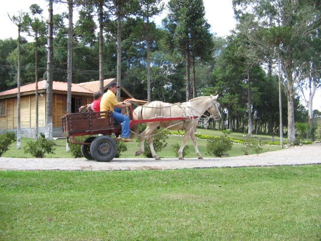 REF. 2360 Hotel Fazenda na Lapa - PR - Foto 7