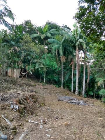 Terreno com 8 alqueires=19 hectares - Foto 8