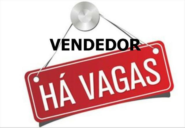Vendedor Comercial Vendas Informatica - Com Experiencia Hardware