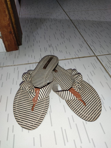 rasteirinha listrada