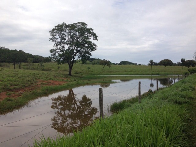 Fazenda de 300 Alq Vila Propício  - Foto 4