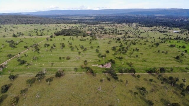 200 milhões de reais             *Fazenda de 4.100 hectares Porto estrela MT - Foto 4
