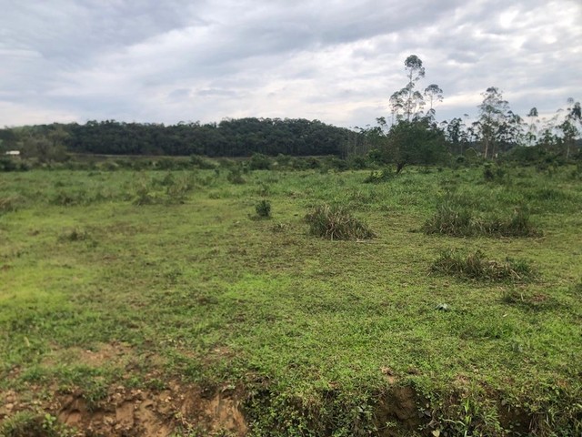 Chácara , sitío , vila nova - Foto 5