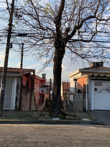 Captação de Terreno a venda na Rua Alexandre Herculano, Jardim Utinga, Santo André, SP