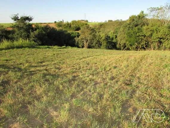 Terreno para aluguel, CONCEICAO - PIRACICABA/SP - Foto 2