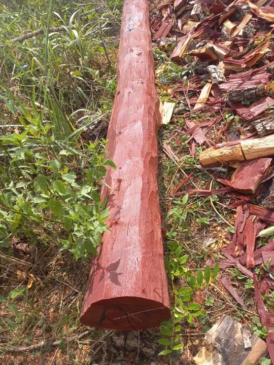 Palanques, lascas, firmes, postes e esticadores de Aroeira no MS - Foto 2