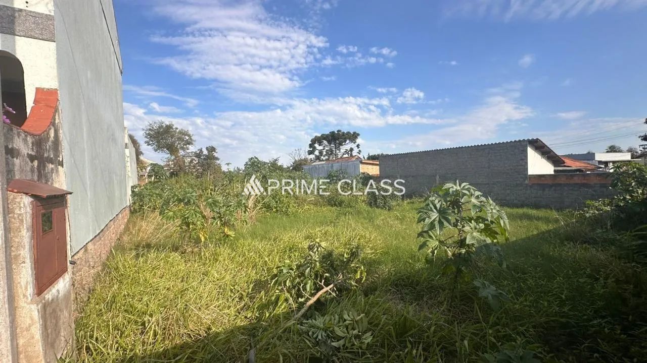 Terreno com 825 m² - Nossa Senhora das Graças, Canoas - Foto 5