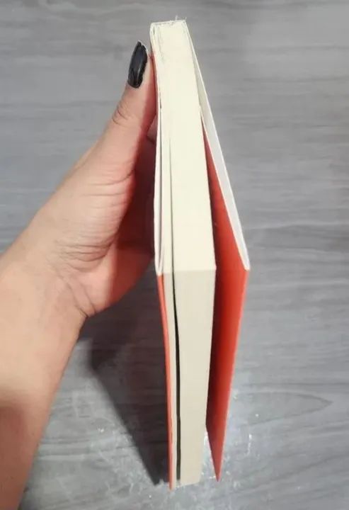 Livro Comece pelo porque - Foto 3