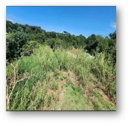 INVISTA NO SEU FUTURO: Terreno Perfeito para Seu Projeto dos Sonhos!