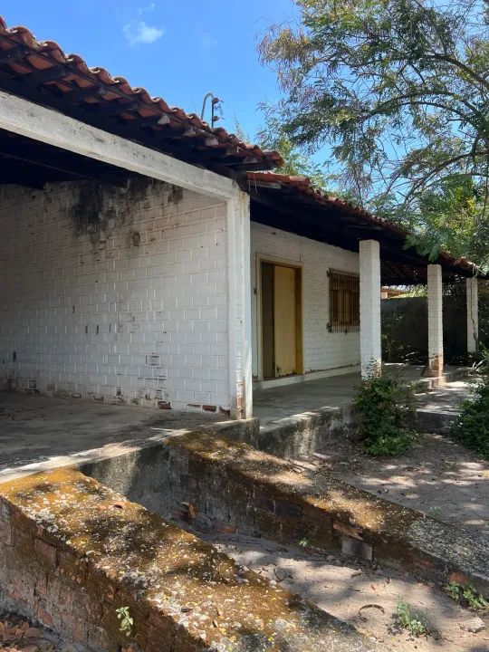 Chácara  à Margem da Lagoa na Barra de Santo Antônio  Uma Joia no Litoral Norte de Maceió - Foto 3
